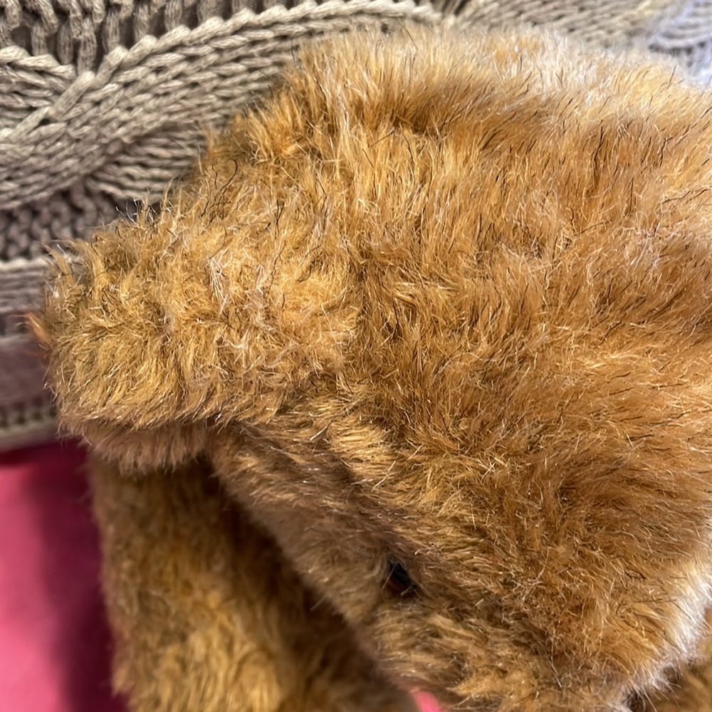 Vermont Teddy Bear - Picture 4 of 11